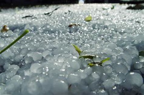 An Intense Hailstorm Recently Caused Massive Damage To The Crops And