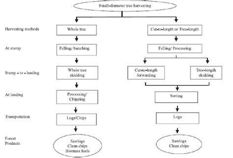 Tree Flow Chart