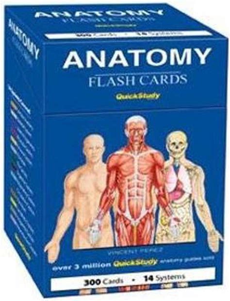 Anatomy Flash Cards Mega Bundle Anatomy Flashcards Body Systems Images And Photos Finder