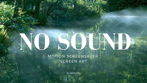 Foggy Forest Pond Visual Ambience 4K No Sound Motion ScreenArt