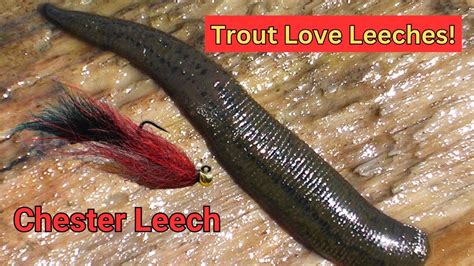 Tie A Simple Leech Pattern Like A Pro The Chester Leech Youtube