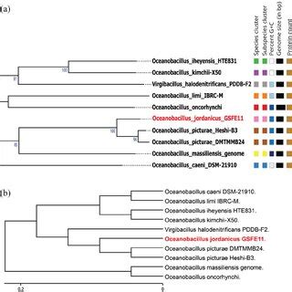 A Whole Genome Sequence Based Phylogenetic Tree Species Cluster Has