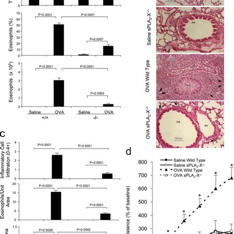 Spla2 X Deficiency Decreases Allergen Induced Goblet Cell Metaplasia