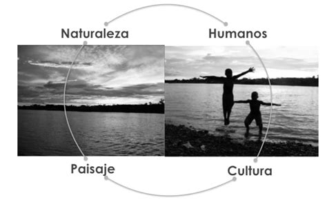 Fuente Elaboración Propia 2016 Download Scientific Diagram