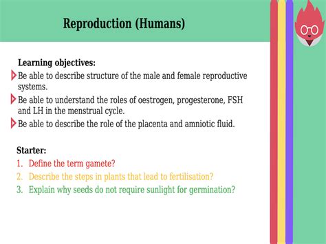 Igcse Edexcel Biology 9 1 Reproduction Humans Updated Teaching