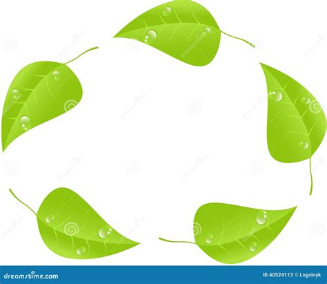 Groen Blad Met Ruimte Voor Tekst Vector Vector Eps Stock Illustratie