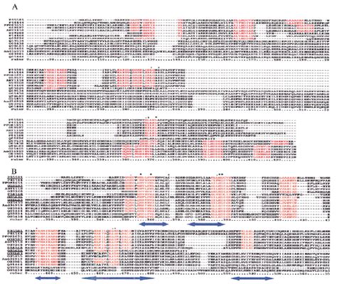 Alignment Of A Set Of Proteins By A Clustalw And B Dbclustal