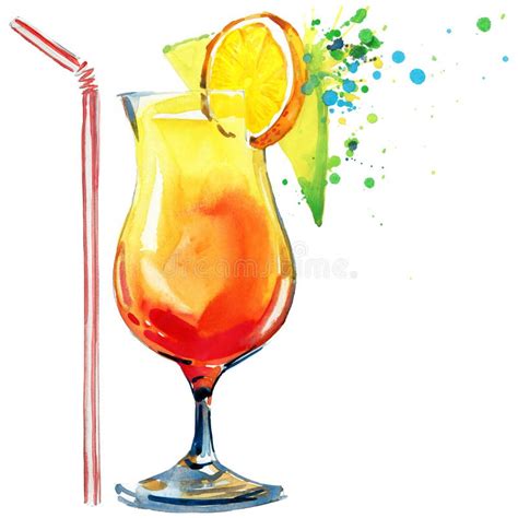 Cocktail Fruit Ice And A Splash Hand Drawn Watercolor Illustration