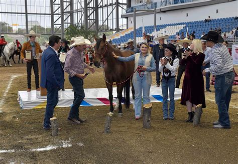 DIF Estatal Recibe Donación de Caballo Para Brindar Equinoterapia