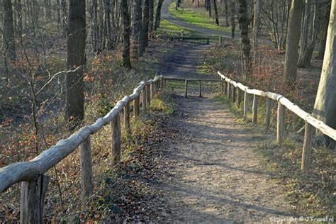 Mijn Wandeling Over Buitenplaats Leyduin In Vogelenzang Jtravel