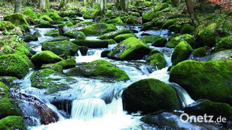 Auf Entdeckertour Durch Den Geopark Bayern B Hmen Auf Welchen Steinen