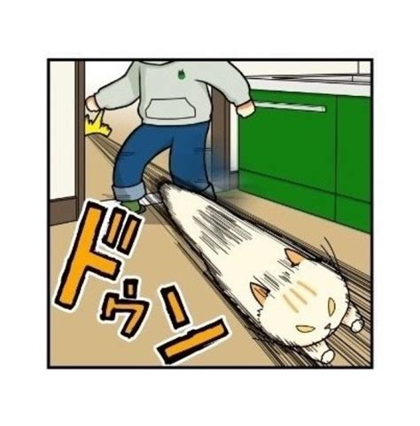 ＜画像71 199＞19匹の猫と暮らす猫まみれの幸せな日常漫画【もちこ Mogutchecho 】｜ウォーカープラス