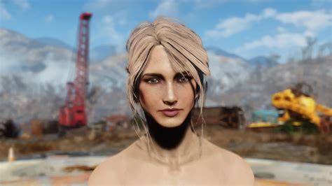 Interesting Sole Survivor At Fallout Nexus Mods And Community