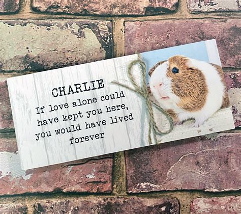 Guinea Pig Memorial Giftpet Memorial Memorial Gift Guinea Etsy UK