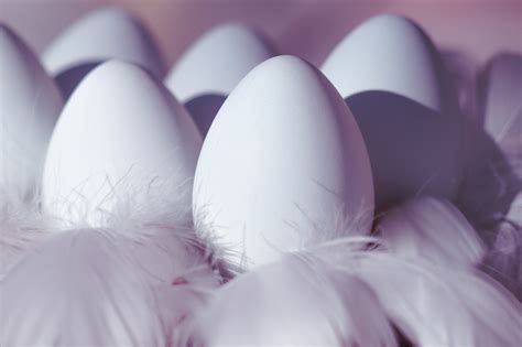 Easter Eggs White - Free photo on Pixabay