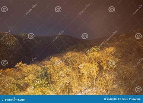 Deep Mountains And Forests With Snow At Night In Japan Stock Photo