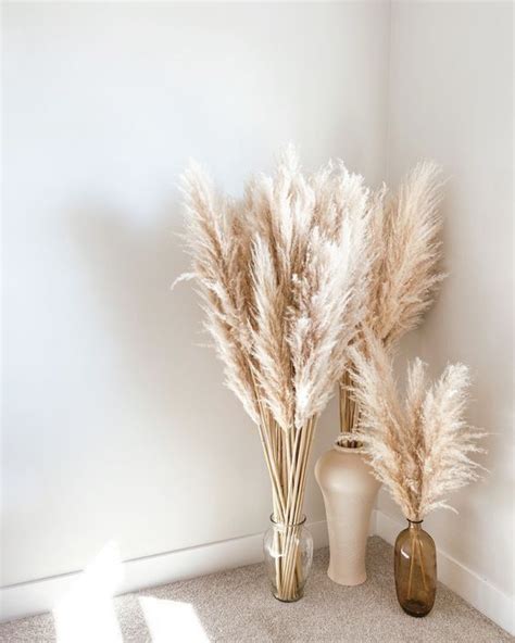 Pampas Grass Decor Grass Decor Pampas Grass Decor Decor