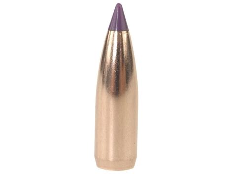 6mm Arc 55 Grain Nosler Ballistic Tip Custom Reloads Of Dallas