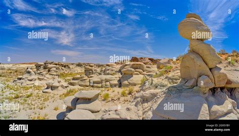 Field of hoodoos in Goblin Garden in the Flat Tops of Petrified Forest ...