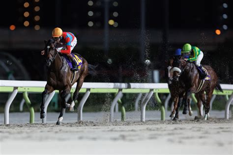 【東京ダービー】ラムジェットが6馬身差の完勝 三浦皇成騎手「もっともっと上に行く馬だと思っています」｜【spaia】スパイア