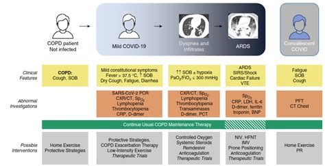 Global Initiative For The Diagnosis Management And Prevention Of Chronic Obstructive Lung Disease