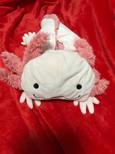 Axolotl Tissue Box Cover Hobbies Toys Toys Games On Carousell