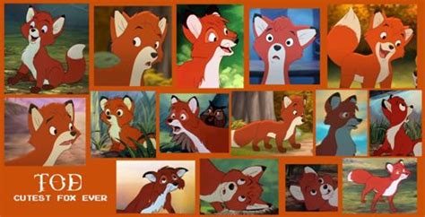 fox and hound tod | Wiki | Disney Amino