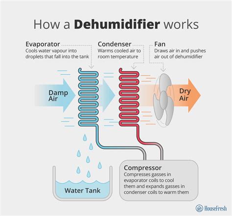 What Does A Dehumidifier Do Housefresh