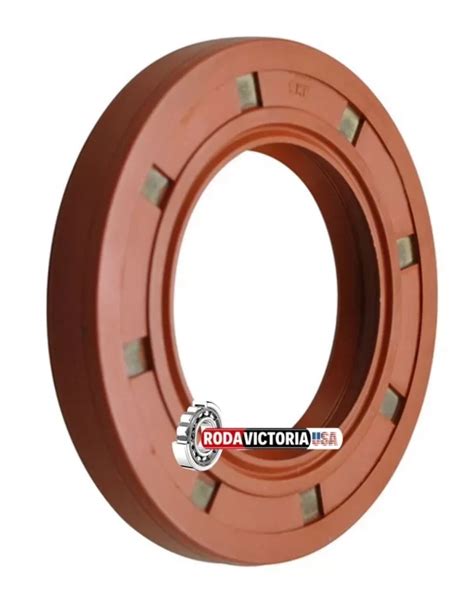 Dichtomatik X X Mm Fkm Viton Metric Oil Seal Double Lip With Spring