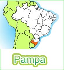 Bioma Pampa - Portal Embrapa