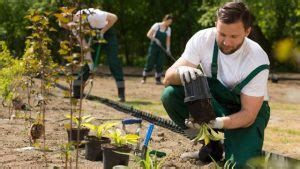 Comment Devenir Paysagiste Les Formations Les Missions