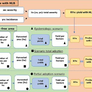 Flow of the epidemiological model for calculating the production of... | Download Scientific Diagram