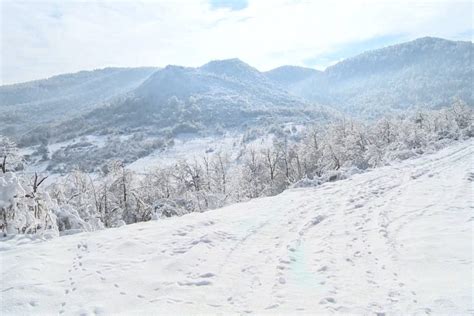 Telo muškarca pronađeno u snegu kod Bosilegrada