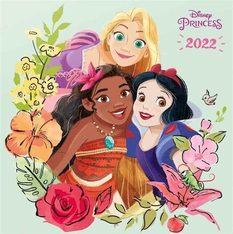 DVDizzy.com • View topic - Disney Princesses Got a Makeover | Disney ...