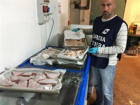 Pesce Pregiato Senza Tracciabilit In Un Ristorante A Silvi Scoperte E