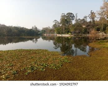 Yercaud Lake View Tamilnadu India Stock Photo (Edit Now) 1924392797