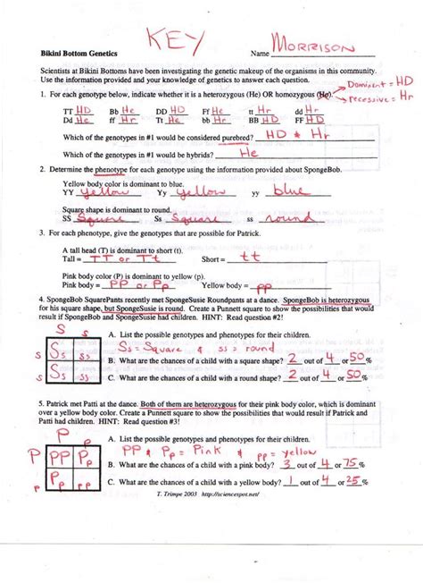 Monohybrid Cross Problems Worksheets