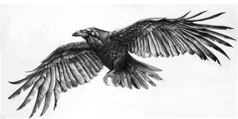 Premium Photo | Wing Drawing Raven Bird Artwork in Flight with Dark ...