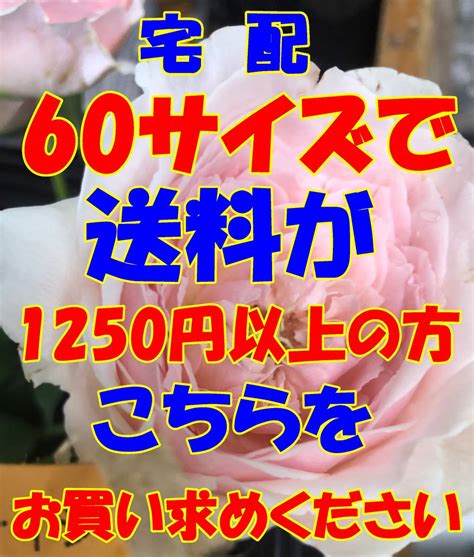 【未使用】おてがる配送ゆうパック D 60 宅配 60 サイズで送料が 1250円 以上の方はこちらをお求めくださいの落札情報詳細 ヤフオク落札価格検索 オークフリー