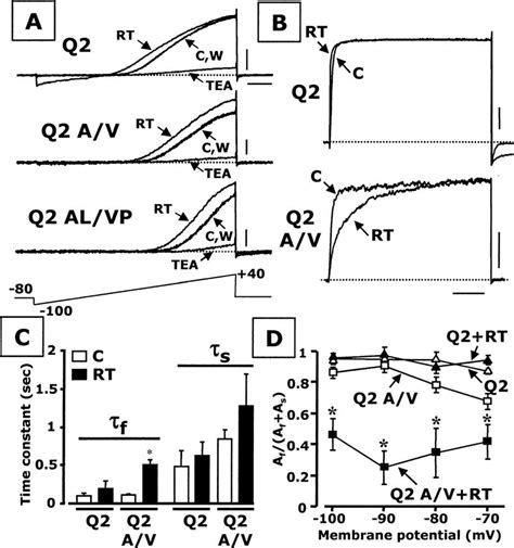 Retigabine Delays Current Activation Kinetics Of KCNQ2 A V Channels A