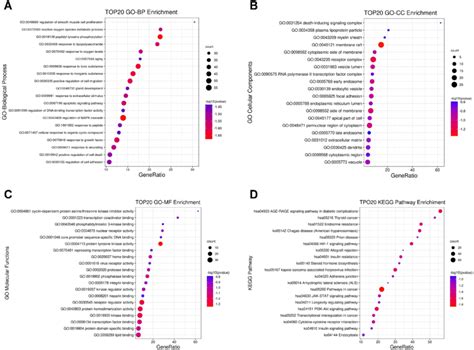 Go And Kegg Pathway Enrichment Analysis A C The Bp Cc And Mf Of Go