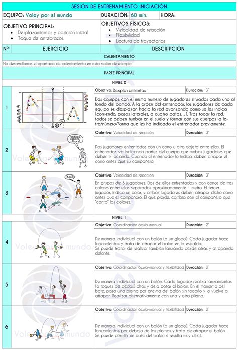 Gu A Completa Para Organizar Y Ejecutar Un Programa De Entrenamiento