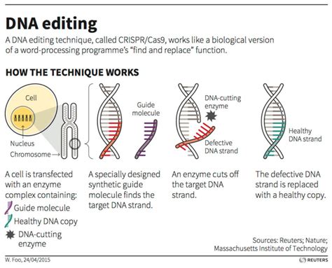 Crispr Gene Doping The Next Big Issue In World Athletics Genetic