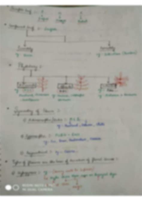 Solution Morphology Mnemonics Biology Studypool