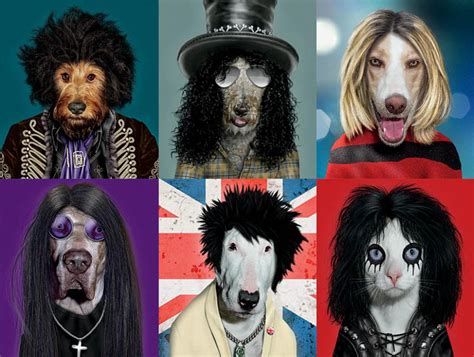 Rock Stars Pets Rock Jigsaw Puzzle