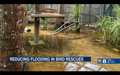 Save Our Seabirds Aims To Reduce Flooding Treat Runoff With New