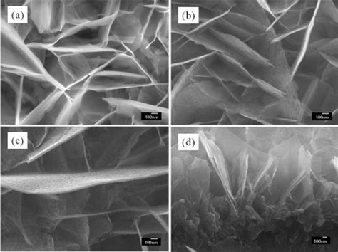 SEM Images Of Nanosheets Annealed At 100 C For 30 Minutes A 150