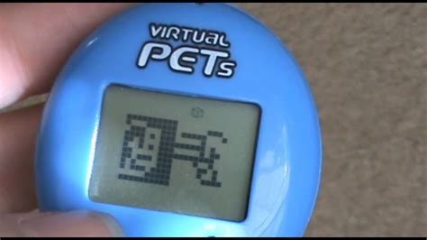 Virtual Pet Village Virtual Pets Youtube