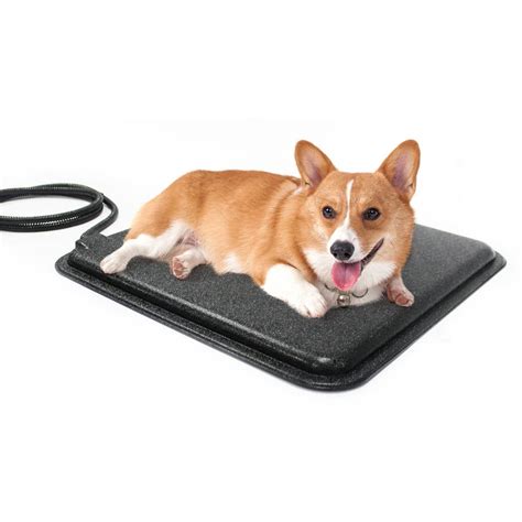 10 Heated Outdoor Pet Pads You'll Want to Snag Before Winter - Furry Folly