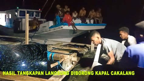 HASIL TANGKAPAN KAPAL BAGAN LANGSUNG DI BORONG KAPAL CAKALANG BUAT